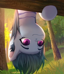 Size: 2067x2401 | Tagged: safe, artist:glumarkoj, oc, oc only, pony, coat markings, colored ear fluff, ear fluff, female, forest, grass, hanging, hanging upside down, mare, nature, pink eyes, solo, tree, upside down