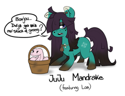 Size: 1107x849 | Tagged: safe, artist:mr-slmn, oc, oc only, oc:juju mandrake, earth pony, pony, snake, basket, dialogue, duo, female, mare, pet oc, simple background, speech bubble, talking to viewer, white background