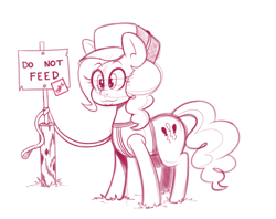 Size: 1052x835 | Tagged: safe, artist:mr-slmn, pinkie pie, earth pony, pony, cap, clothes, female, hat, leash, mare, monochrome, sign, simple background, sketch, solo, vest, white background
