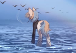 Size: 2480x1748 | Tagged: safe, artist:glumarkoj, oc, oc only, bird, pony, cigarette, cigarette holder, clothes, coat markings, ear tufts, female, mare, ocean, rear view, smoking, solo, water