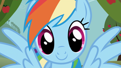 Size: 3840x2160 | Tagged: safe, screencap, rainbow dash, pegasus, pony, g4, season 1, the ticket master, apple, apple tree, cute, dashabetes, female, looking at you, mare, outdoors, smiling, smiling at you, solo, spread wings, tree, wings