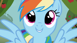 Size: 3840x2160 | Tagged: safe, screencap, rainbow dash, pegasus, pony, g4, season 1, the ticket master, apple, apple tree, cute, dashabetes, female, looking up, mare, outdoors, smiling, solo, spread wings, tree, wings