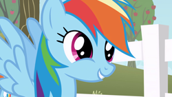 Size: 3840x2160 | Tagged: safe, screencap, rainbow dash, pegasus, pony, g4, season 1, the ticket master, apple, apple tree, cute, dashabetes, female, fence, mare, outdoors, smiling, solo, spread wings, tree, wings