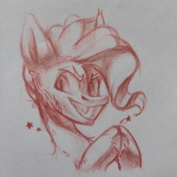 Size: 1080x1080 | Tagged: safe, artist:tsarstvo, oc, oc only, pony, frown, grin, pencil drawing, sketch, smiling, solo, traditional art