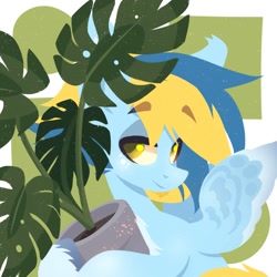 Size: 1500x1500 | Tagged: safe, artist:kingdom, oc, oc only, pony, blue coat, blue mane, holding, plant, smiling, solo, yellow mane