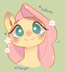 Size: 2899x3226 | Tagged: safe, artist:ponyix, fluttershy, pegasus, pony, blushing, bust, cute, female, flower, flower in hair, green background, looking at you, mare, nose blush, shyabetes, simple background, smiling, smiling at you, solo, starry eyes, wingding eyes, yay