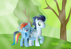 Size: 2444x1689 | Tagged: safe, rainbow dash, soarin', pegasus, pony, g4, duo, duo male and female, female, forest, male, mare, nature, ship:soarindash, shipping, stallion, straight, tree