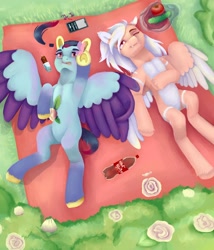 Size: 1200x1400 | Tagged: safe, artist:dagych, oc, oc only, pegasus, pony, 2021, duo, grass, pegasus oc, picnic blanket