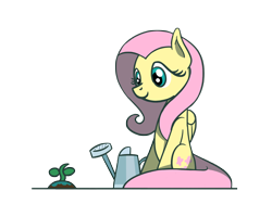 Size: 1800x1350 | Tagged: safe, artist:flutterluv, fluttershy, pegasus, pony, g4, fluttershy day, sapling, simple background, sitting, smiling, solo, transparent background, watering can