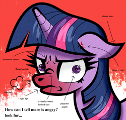 Size: 1202x1150 | Tagged: safe, artist:scandianon, twilight sparkle, pony, unicorn, g4, angry, arrow, cross-popping veins, dialogue, ears back, emanata, female, furrowed brow, horn, mare, pinpoint eyes, red face, scrunchy face, snorting, solo, unamused, unicorn twilight
