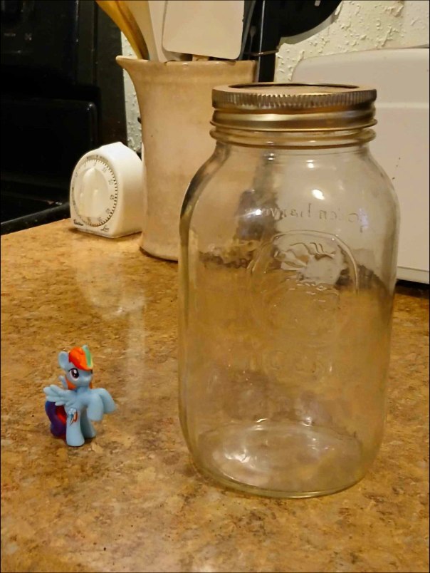 #3353564 - safe, rainbow dash, g4, irl, jar, photo - Derpibooru