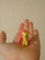 Size: 736x980 | Tagged: safe, fluttershy, g4, holding, irl, photo