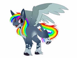 Size: 4000x3000 | Tagged: safe, artist:laureld3040, rainbow dash, pegasus, pony, g4, alternate design, chest fluff, cloven hooves, colored wings, female, mare, simple background, solo, spread wings, unshorn fetlocks, white background, wings