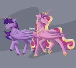 Size: 2048x1828 | Tagged: safe, artist:hiyacolly, princess cadance, twilight sparkle, alicorn, pony, g4, chest fluff, duo, female, hoers, hoof shoes, jewelry, mare, peytral, regalia, sisters-in-law, twilight sparkle (alicorn)