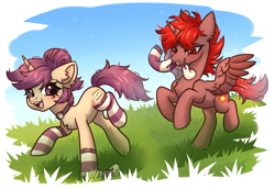 Size: 4961x3430 | Tagged: safe, artist:konejo, oc, oc only, oc:hardy, oc:lavrushka, alicorn, pony, unicorn, chest fluff, clothes, duo, ear fluff, female, grass, happy, horn, male, mare, running, socks, spread wings, stallion, wings, young
