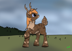 Size: 1200x847 | Tagged: safe, artist:aegishailstorm, oc, oc only, oc:luibh, deer, deer pony, hybrid, original species, blue eyes, cloud, cloudy, commission, forest background, looking at something, raised tail, solo, tail