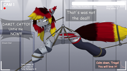 Size: 3840x2160 | Tagged: safe, artist:monycaalot, oc, oc only, oc:traga, bat pony, series:catto's vore stream, angry, bat pony oc, bat wings, bondage, clothes, fangs, implied vore, incentive drive, livestream, looking at you, male, robotic arm, socks, solo, suspended, suspension bondage, tied up, wings