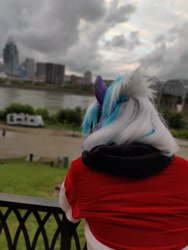 Size: 3000x4000 | Tagged: safe, artist:essorille, artist:whirlytail, cloudchaser, g4, fursuit, irl, outdoors, park, photo, ponysuit, river, water