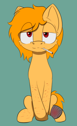 Size: 394x639 | Tagged: safe, artist:cotarsis, oc, oc:scar shine, pony, looking at you, simple background, sketch, solo