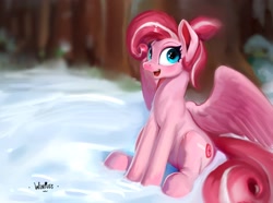Size: 3362x2498 | Tagged: safe, artist:winpuss, oc, oc only, pegasus, pony, blushing, commission, female, mare, sitting, snow, solo