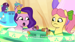 Size: 600x338 | Tagged: safe, screencap, pipp petals, posey bloom, earth pony, pegasus, pony, g5, my little pony: tell your tale, p + p = bffs, spoiler:g5, spoiler:my little pony: tell your tale, spoiler:tyts02e13, animated, gif, turkish