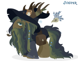 Size: 1024x809 | Tagged: safe, artist:kabuvee, oc, oc only, oc:juniper, bird, owl, pony, antlers, bag, beard, facial hair, hat, male, saddle bag, simple background, solo, stallion, transparent background, wizard hat