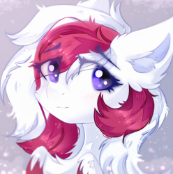 Size: 2940x2965 | Tagged: safe, artist:lime noise, oc, oc only, oc:red wine, pegasus, bust, chest fluff, digital art, pegasus oc, portrait, solo, two toned mane