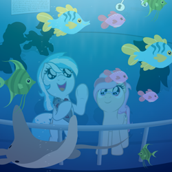 Size: 1919x1919 | Tagged: safe, artist:nitei, oc, oc only, oc:snow frost, oc:understudy, angelfish, earth pony, fish, manta ray, pony, against glass, aquarium, bipedal, bipedal leaning, bubble, cute, dorsal fin, duo focus, female, fin, fins, fish tail, gift art, glass, glasses, happy, holding, leaning, looking up, mare, open mouth, open smile, plushie, railing, school of fish, show accurate, silhouette, smiling, swimming, tail, underhoof, underwater, water