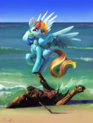 Size: 3000x4000 | Tagged: safe, artist:flvski, rainbow dash, pegasus, pony, g4, backwards cutie mark, beach, chest fluff, female, fluffy, high res, hoof fluff, leg fluff, mare, ocean, outdoors, signature, sky, solo, spread wings, water, wing fluff, wings