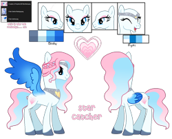 Size: 1068x862 | Tagged: safe, artist:hate-love12, star catcher, pegasus, pony, g3, base used, colored wings, reference sheet, simple background, solo, transparent background, wings