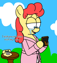 Size: 3023x3351 | Tagged: safe, artist:professorventurer, oc, oc:power star, clothes, crying, every copy of super mario 64 is personalized, frame, implied father, morning ponies, panties, phone, robe, rotary phone, rule 85, super mario 64, table, tears of joy, underwear