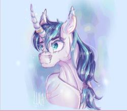 Size: 2064x1815 | Tagged: safe, artist:pegasus004, shining armor, pony, unicorn, g4, curved horn, horn, horn ring, ponytail, ring, solo