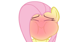 Size: 1620x902 | Tagged: safe, edit, edited screencap, part of a set, screencap, fluttershy, pony, g4, sweet and elite, blushing, closed mouth, eyes closed, female, holding breath, mare, puffy cheeks, red face, simple background, solo, white background