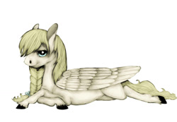 Size: 1300x900 | Tagged: safe, artist:reamina, oc, oc only, oc:camomile, pegasus, pony, female, lying down, mare, prone, simple background, solo, white background