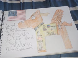 Size: 4000x3000 | Tagged: safe, artist:super coyote 1804, pony, indianapolis 500, indy 500, indycar, nascar, photo, ponified, sarah fisher, solo, traditional art, united states