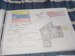 Size: 4000x3000 | Tagged: safe, artist:super coyote 1804, pony, 24 hours of le mans, indianapolis 500, indy 500, indycar, le mans, milka duno, nascar, photo, ponified, solo, traditional art, venezuela