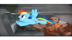 Size: 640x360 | Tagged: safe, rainbow dash, pegasus, pony, g4, animated, blue coat, cutie mark, flapping, flapping wings, flying, gif, hooves out, live action, looking up, multicolored hair, open mouth, purple eyes, rainbow hair, reaching, science fiction, smiling, solo, spaceship, spinning, spread wings, tail, wings