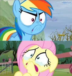 Size: 1364x1436 | Tagged: safe, screencap, fluttershy, rainbow dash, pegasus, pony, filli vanilli, g4, tanks for the memories, abuse, angry, crying, do i look angry, exploitable, female, flutterbuse, fluttercry, imminent flutterbuse, ragebow dash, solo