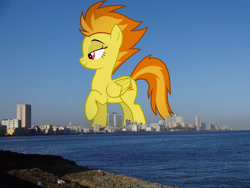 Size: 2048x1536 | Tagged: safe, artist:dashiesparkle, edit, editor:jaredking779, spitfire, pegasus, pony, g4, attack on pony, cuba, female, folded wings, giant pony, giantess, havana, highrise ponies, irl, lidded eyes, macro, mare, photo, ponies in real life, raised hoof, red eyes, smiling, solo, story included, wings