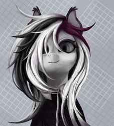 Size: 1060x1168 | Tagged: safe, artist:s3vilix, oc, oc only, earth pony, pony, abstract background, solo