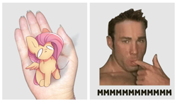 Size: 3400x2000 | Tagged: safe, alternate version, artist:miryelis, fluttershy, human, pegasus, pony, g4, eating, gachimuchi, go to sleep gladmane, hand, implied vore, irl, irl human, meme, photo, sitting, solo, text