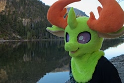 Size: 1280x856 | Tagged: safe, artist:azuritecoin, artist:limeythecheetah, thorax, changedling, changeling, human, g4, bust, clothes, cosplay, costume, fursuit, irl, irl human, king thorax, lake, mountain, outdoors, photo, portrait, water