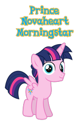 Size: 1417x2158 | Tagged: safe, anonymous artist, oc, oc only, oc:prince novaheart morningstar, alicorn, pony, fanfic:cat's cradle, g4, alicorn oc, author:shakespearicles, closed mouth, colt, eyebrows, eyes open, foal, horn, implied inbreeding, implied incest, inbreeding, incest, looking, looking at you, looking back, looking back at you, male, name, nostrils, offspring, parent:oc:prince aster novaheart, parent:oc:princess selene novaheart, parents:oc:novahearts, product of incest, shakespearicles, simple background, solo, standing, text, transparent background, wings