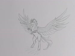 Size: 4624x3468 | Tagged: safe, artist:hkpegasister, oc, oc only, oc:silver argent, hippogriff, pony, ponygriff, absurd resolution, grayscale, male, monochrome, pencil drawing, rearing, smiling, solo, spread wings, stallion, traditional art, wings