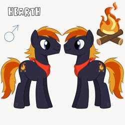 Size: 1600x1600 | Tagged: safe, artist:artsypaws, derpibooru exclusive, oc, oc only, oc:hearth, earth pony, pony, g4, campfire, commission, commission example, cutie mark, eyes open, fire, male, reference sheet, smiling, solo, stallion, wood