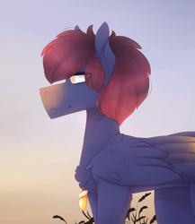 Size: 2279x2631 | Tagged: safe, artist:riressa, oc, oc only, pegasus, pony, jewelry, male, necklace, solo, stallion