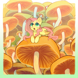 Size: 2900x2900 | Tagged: safe, artist:resoi0, fluttershy, pegasus, pony, g4, cute, female, giant mushroom, high res, mare, mushroom, open mouth, shyabetes, signature, solo