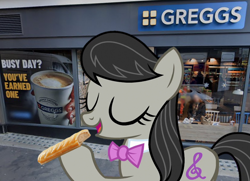 Size: 760x550 | Tagged: safe, octavia melody, pony, british, eating, food, greggs, irl, photo, ponies in real life, solo, united kingdom
