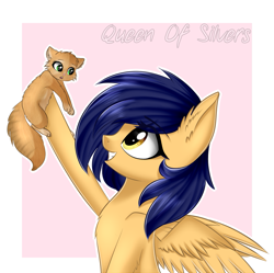 Size: 1085x1081 | Tagged: safe, artist:queenofsilvers, oc, oc only, oc:vega light, cat, pegasus, pony, chest fluff, cute, ear fluff, eye clipping through hair, eyebrows, eyebrows visible through hair, female, gift art, grin, holding, looking up, mare, ocbetes, pegasus oc, profile, side view, smiling, solo, spread wings, wings
