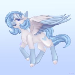 Size: 2500x2500 | Tagged: safe, artist:n3tt0l, oc, oc only, pegasus, pony, blue background, blue eyes, blue hair, blue mane, blue tail, chest fluff, coat markings, colored ears, colored eyebrows, colored hooves, colored mouth, eyelashes, fangs, fluffy, fringe, gradient background, light skin, open mouth, short hair, solo, spread wings, tail, tongue out, wings